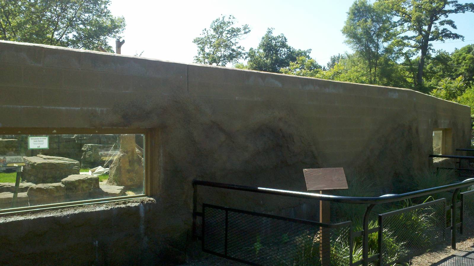 Chimp viewing windows