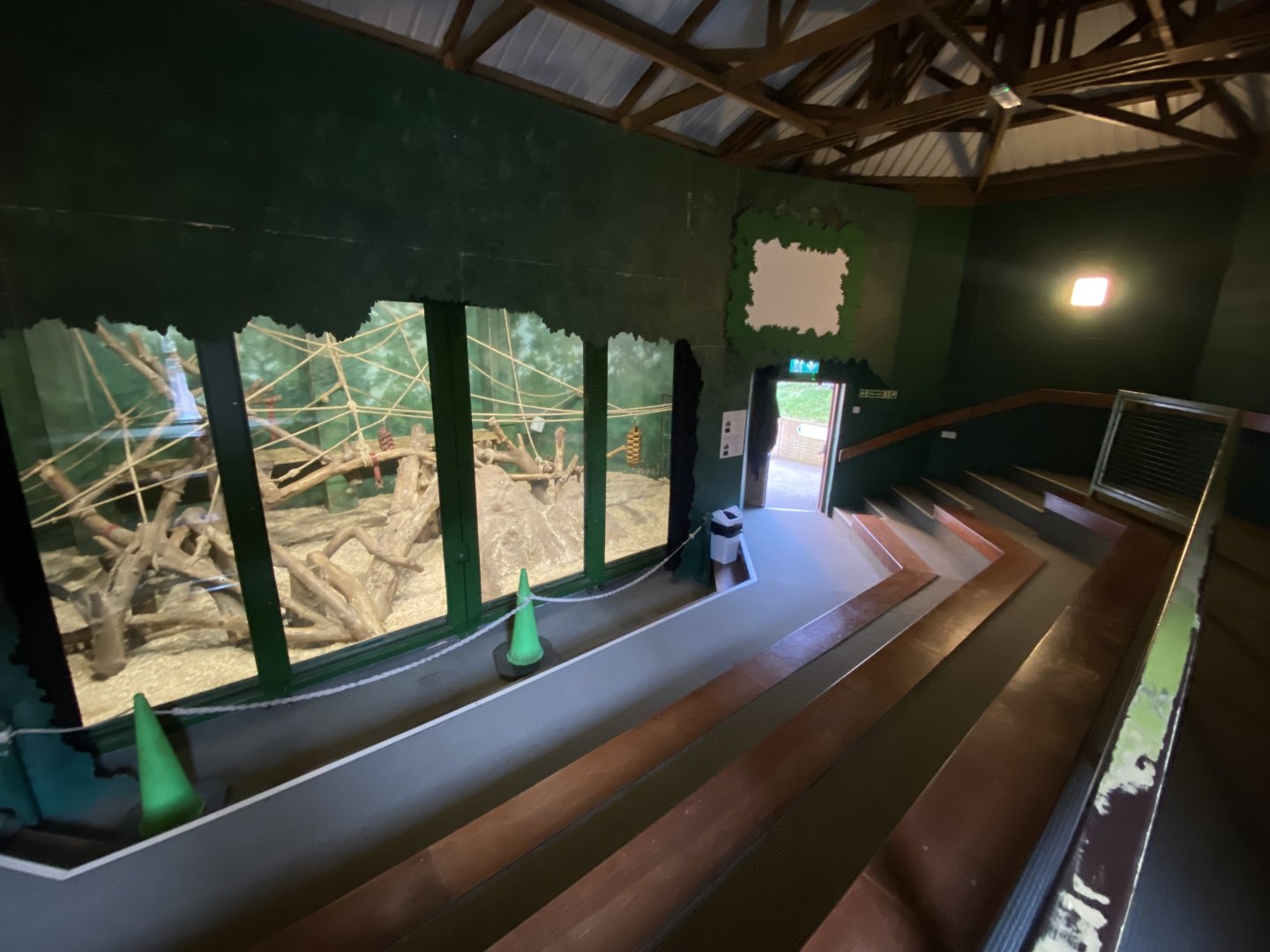 Chimpan World indoors 190325