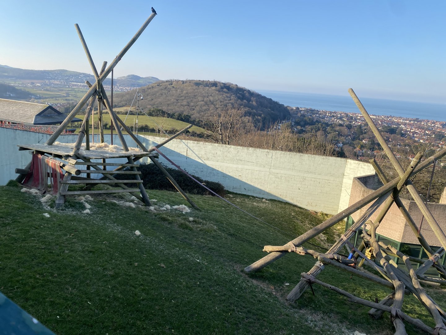 Chimpan World outdoors 190325