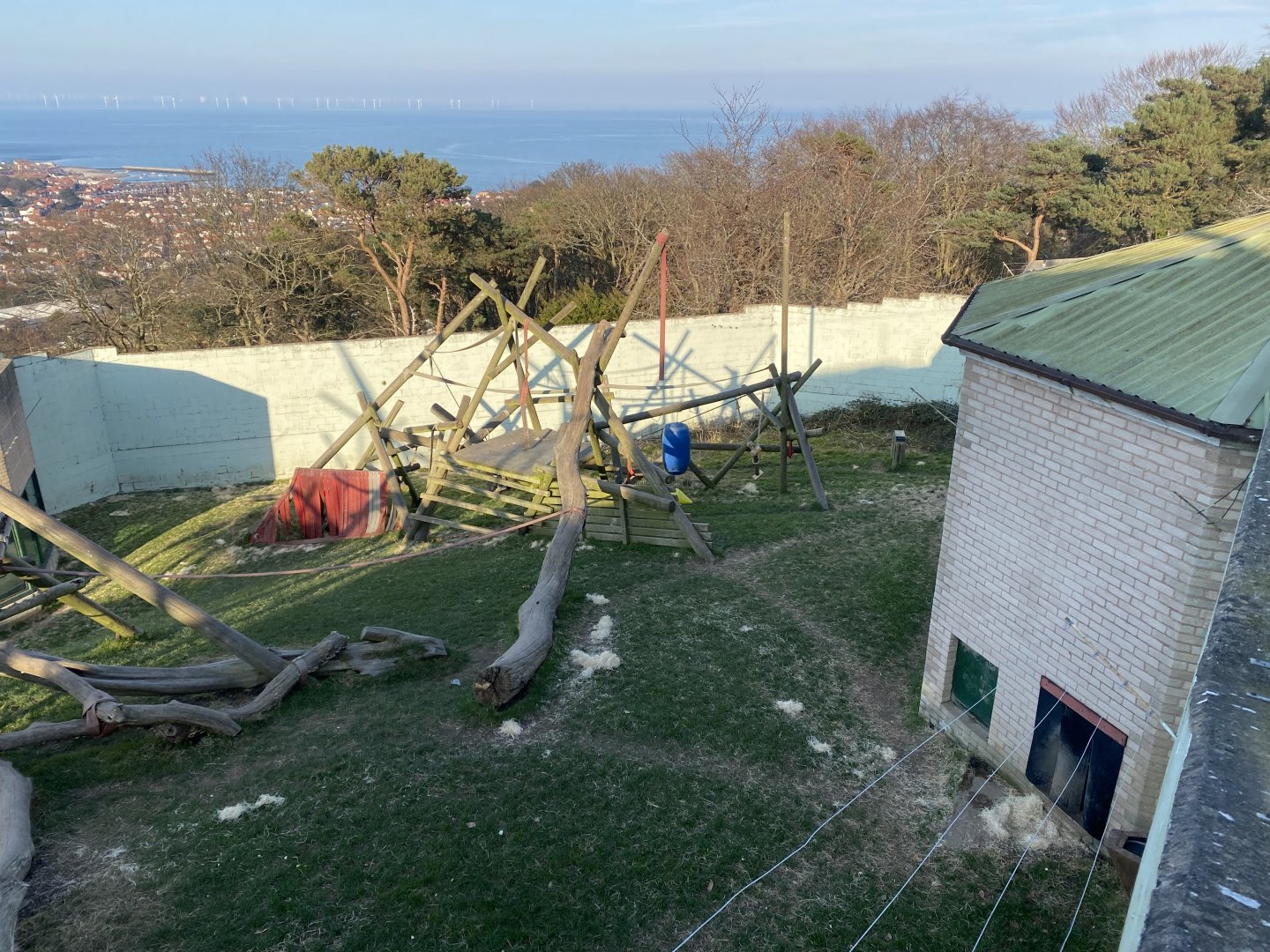 Chimpan World outdoors 190325