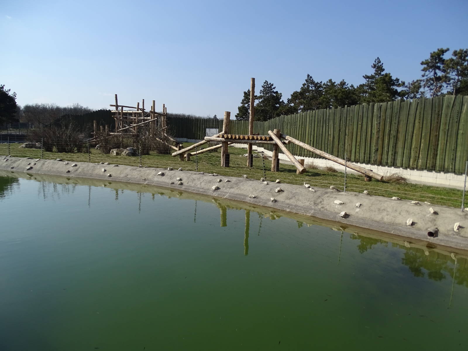 Chimpansee enclosure 1