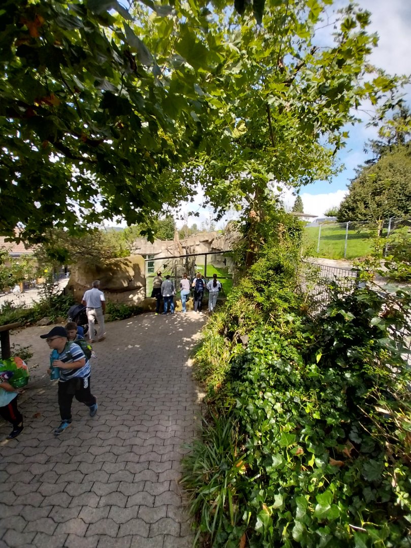 Chimpansee enclosure 1