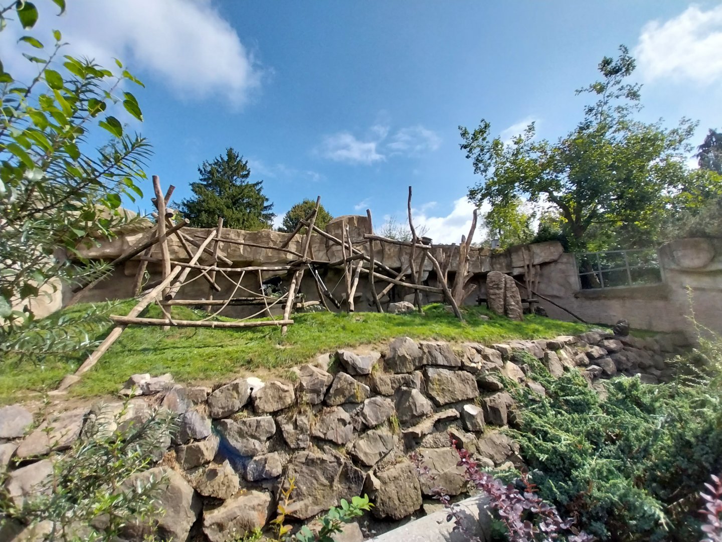 Chimpansee enclosure 1