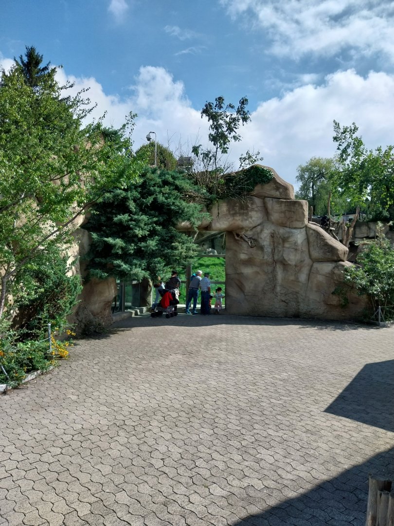 Chimpansee enclosure 1