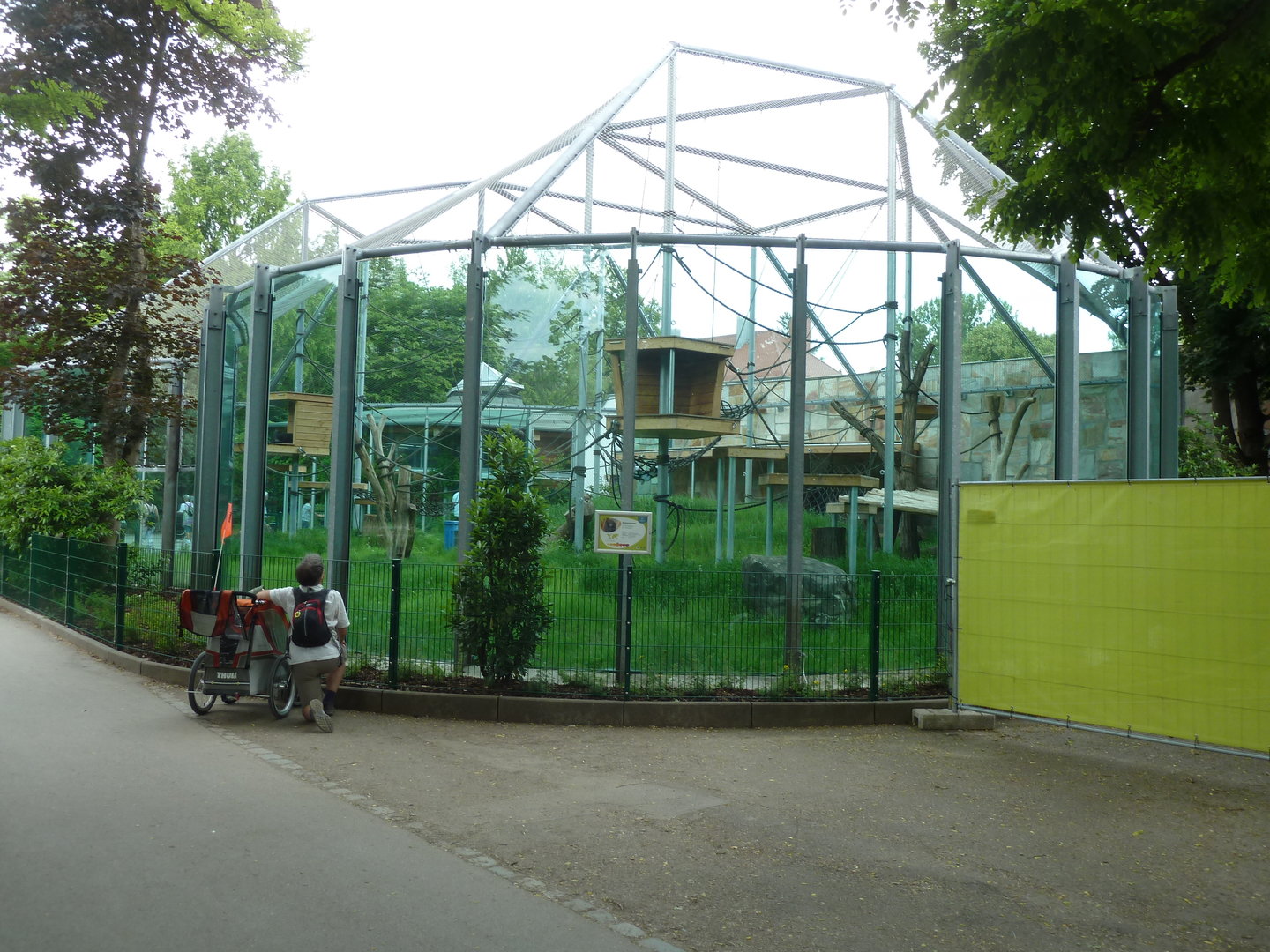 Chimpansee enclosure