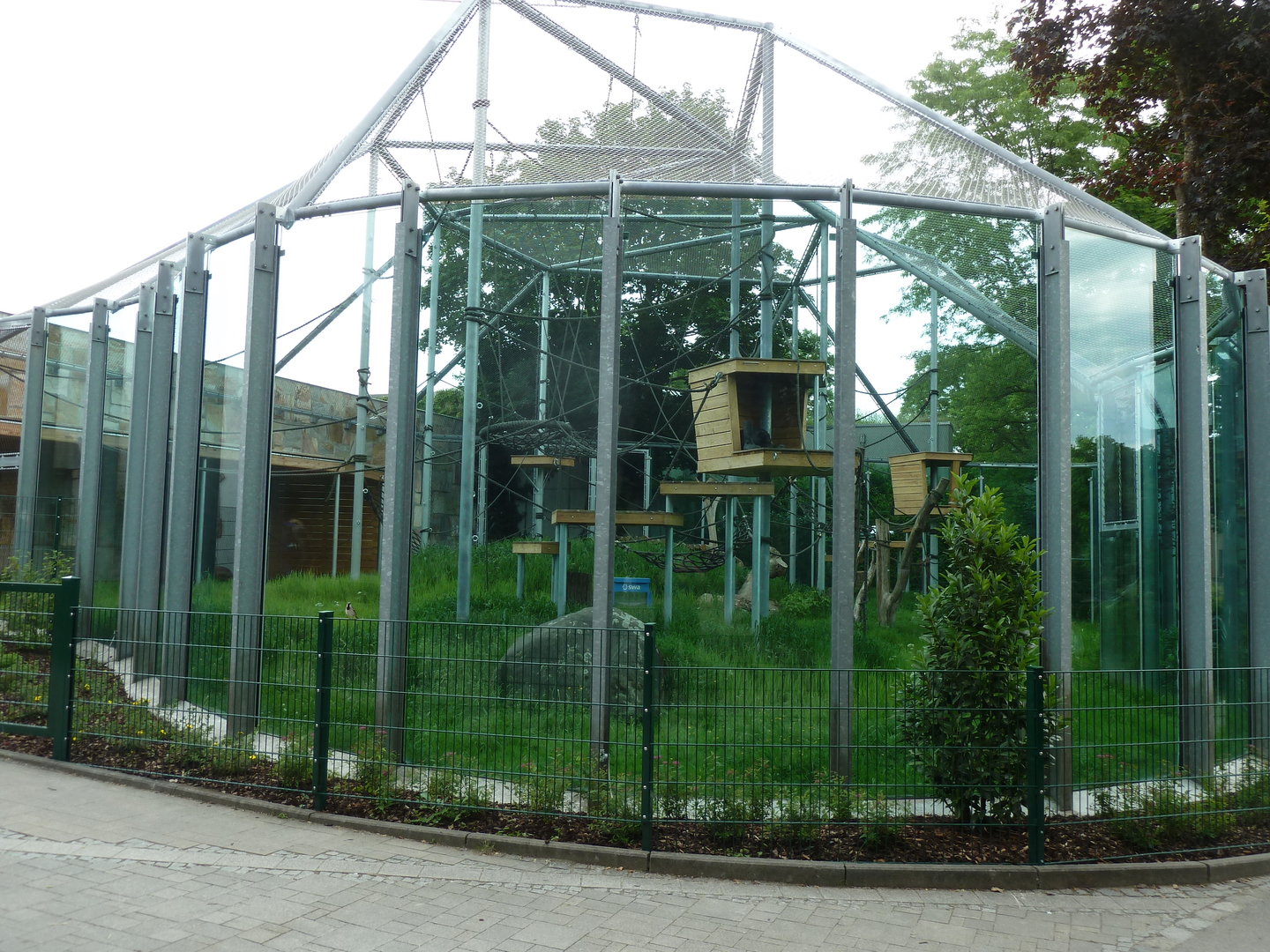 Chimpansee enclosure