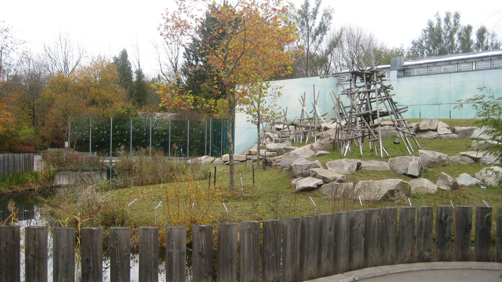 Chimpanze Exhibit