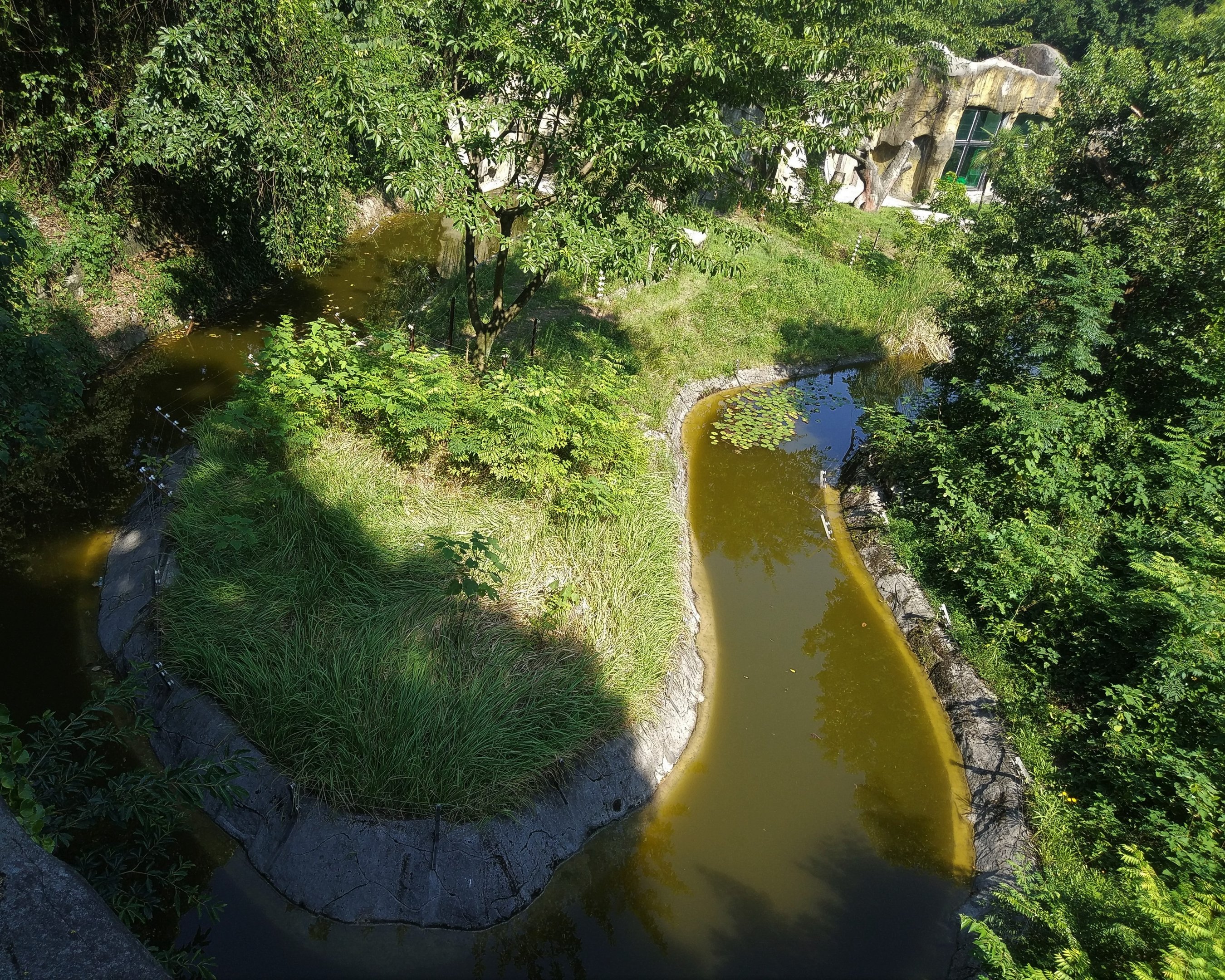 Chimpanzee and Orangutan Exhibits