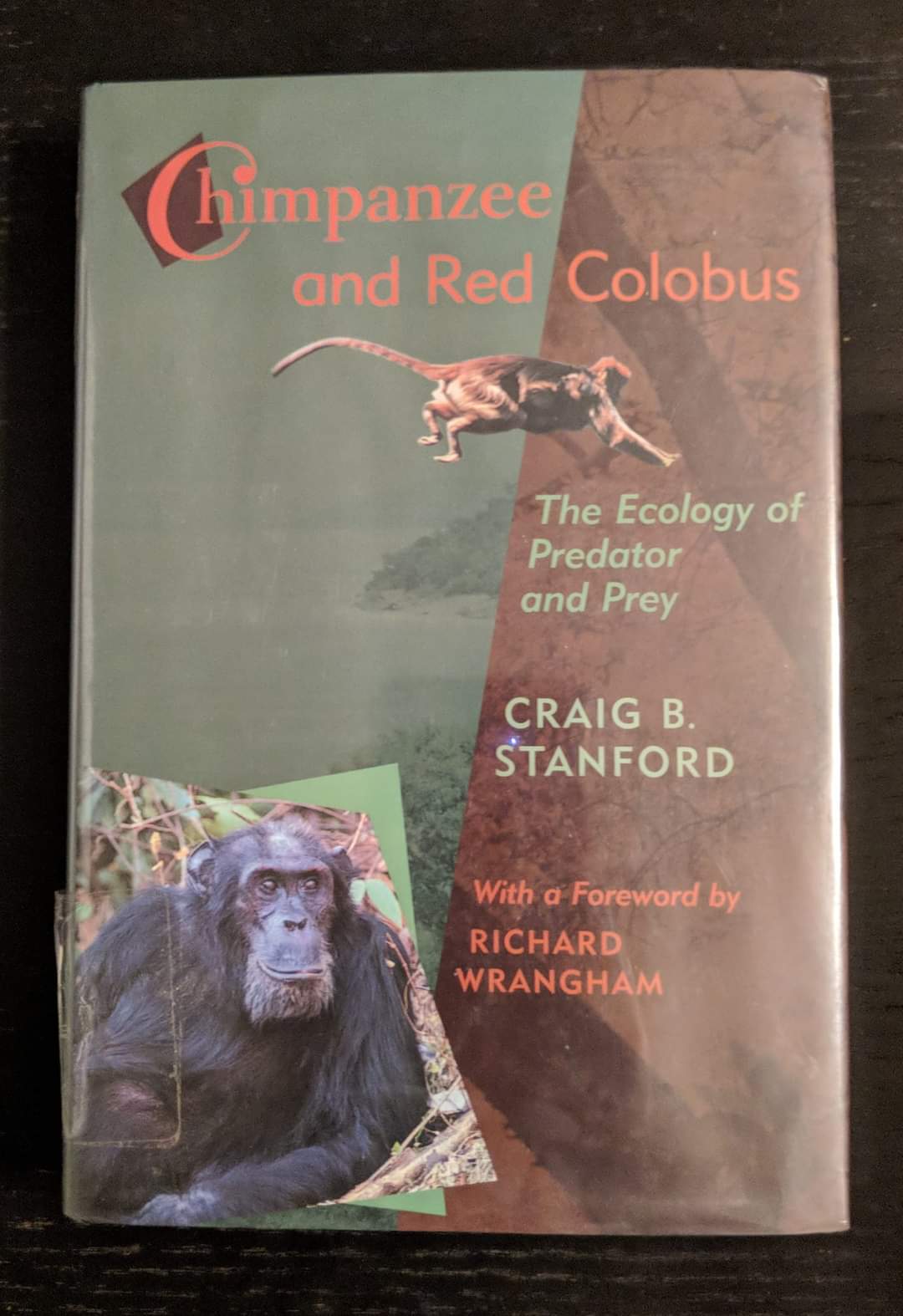 Chimpanzee and Red Colobus: The Ecology of Predator and Prey