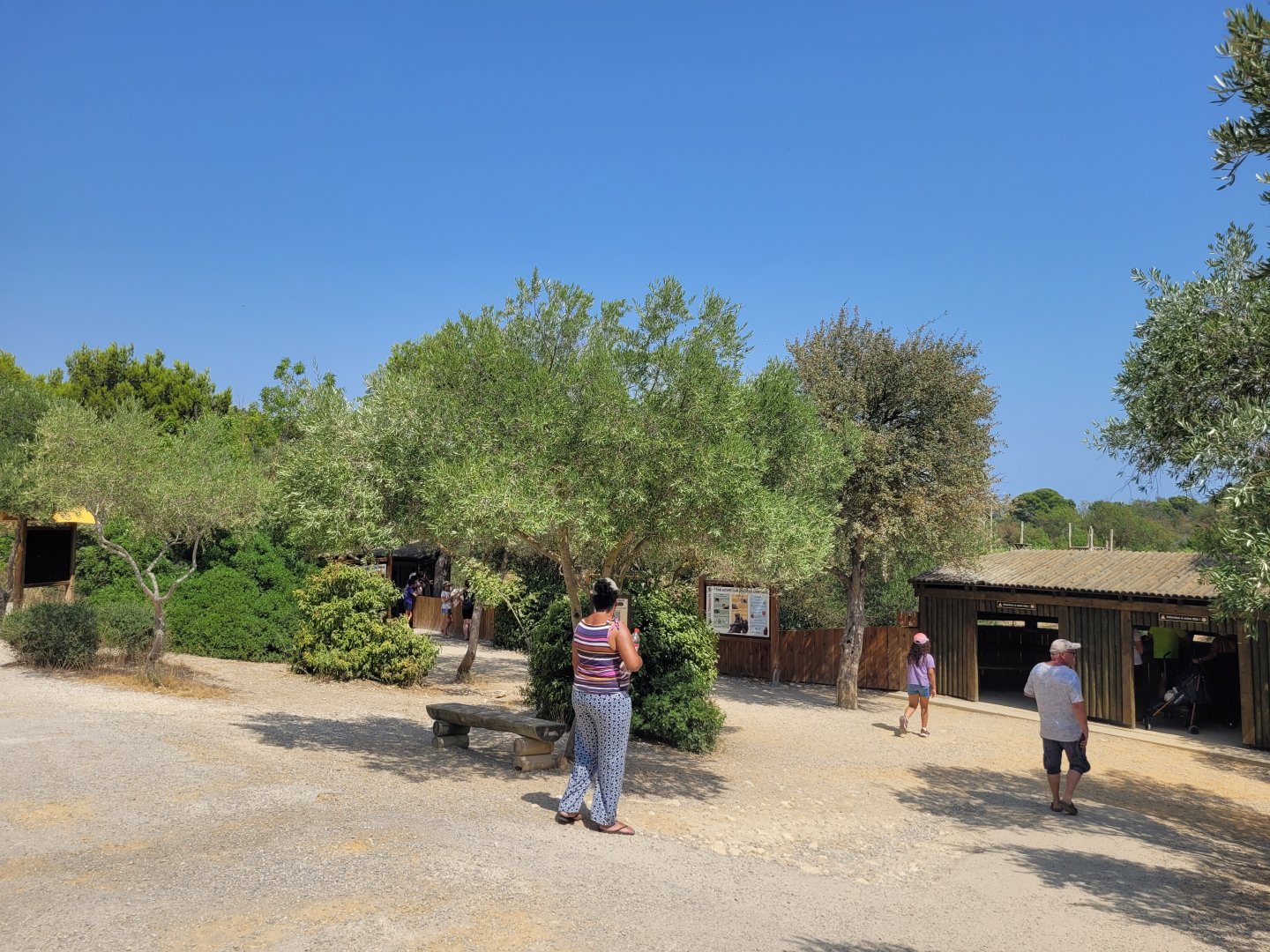 Chimpanzee area -Réserve Africaine de Sigean (2022)