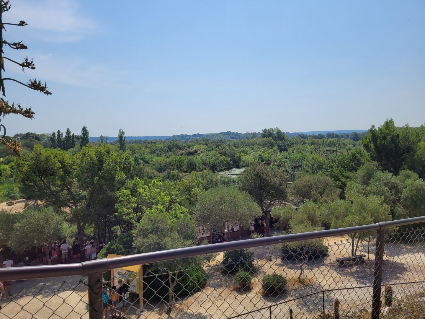 Chimpanzee area view -Réserve Africaine de Sigean (2022)