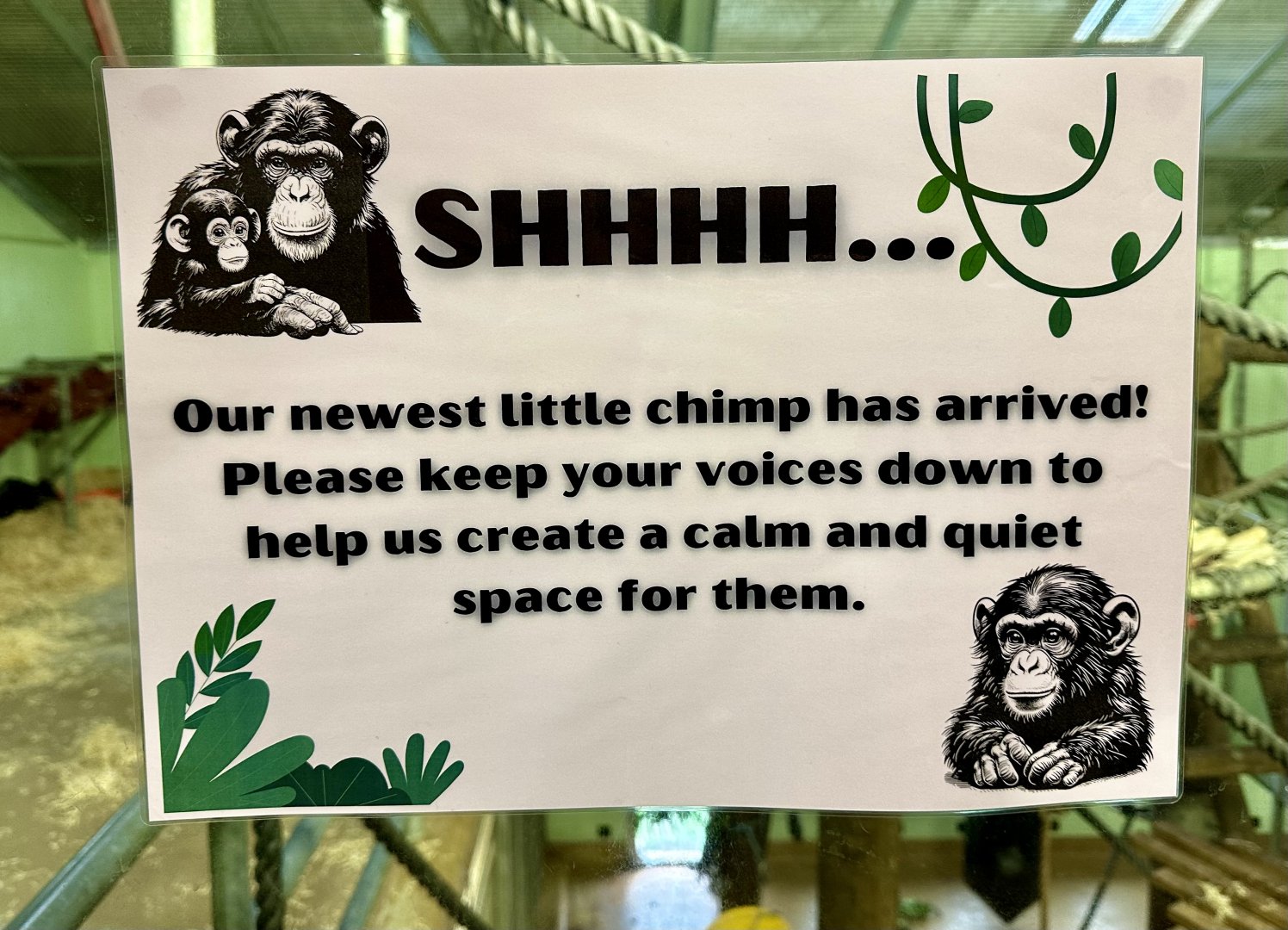 Chimpanzee Birth Signage