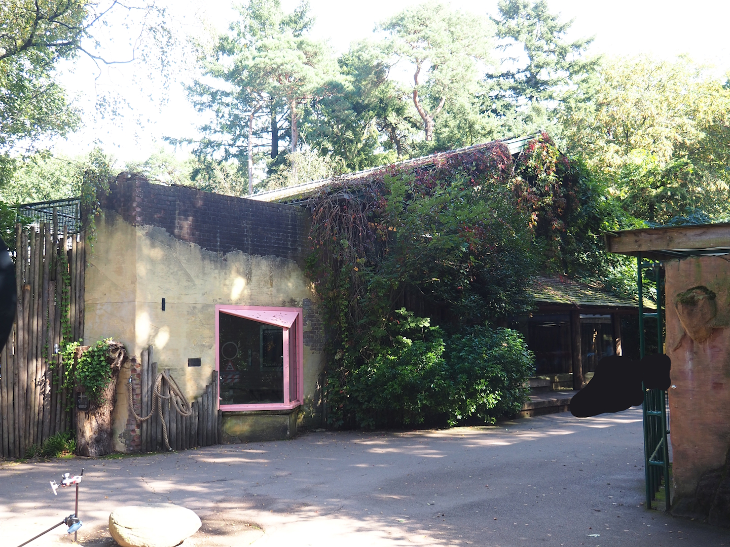 Chimpanzee building, 2023-09-24