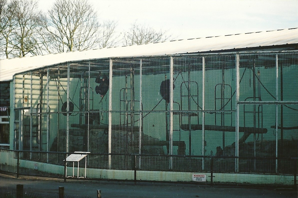 Chimpanzee cage, 16th December 2000