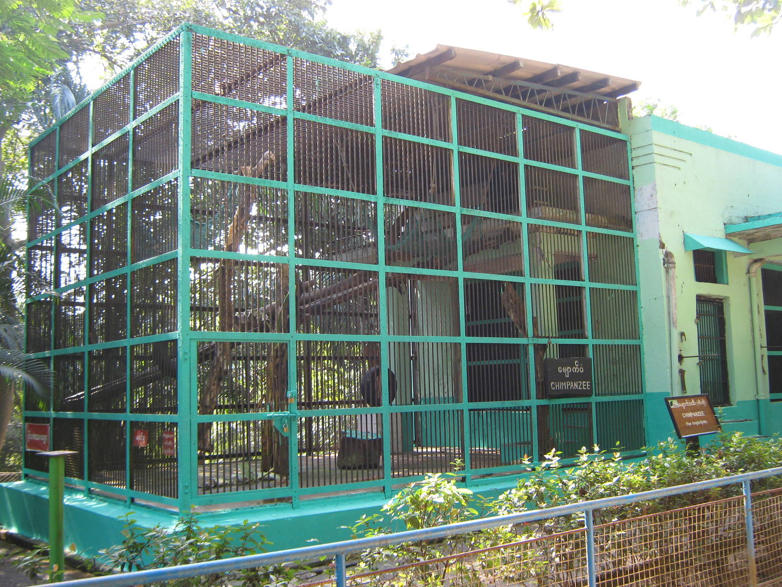 Chimpanzee cage