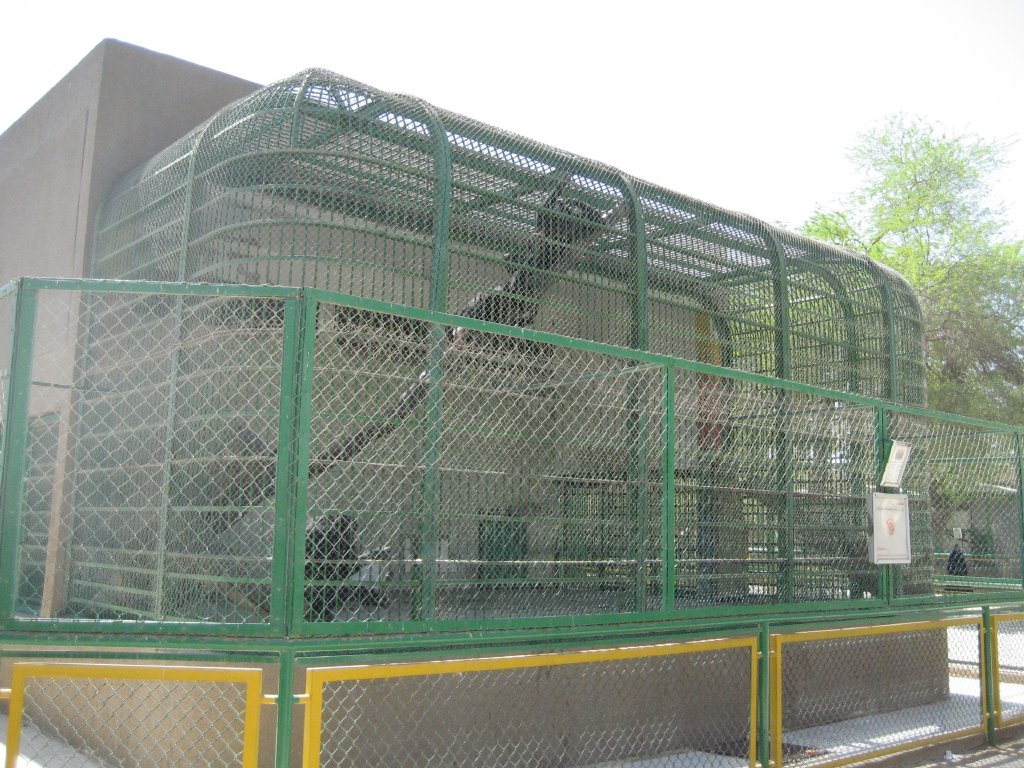 Chimpanzee Cage