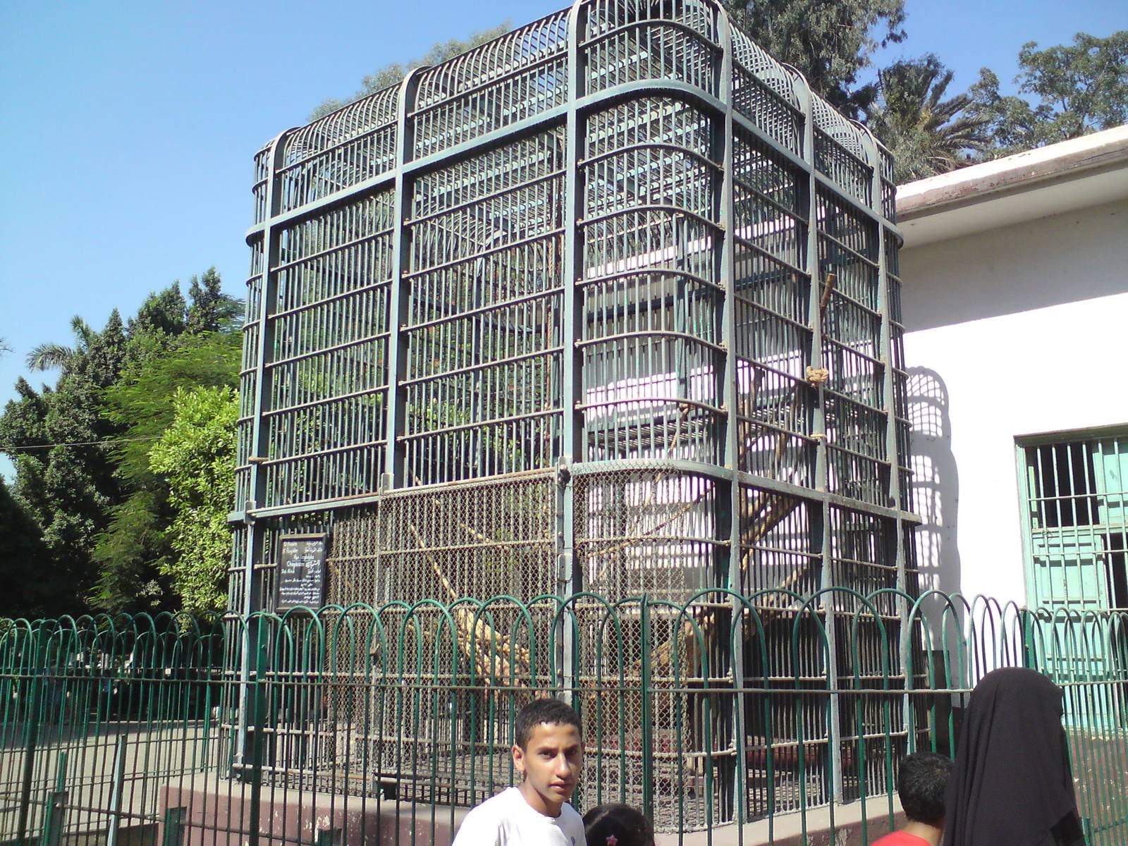 Chimpanzee cage