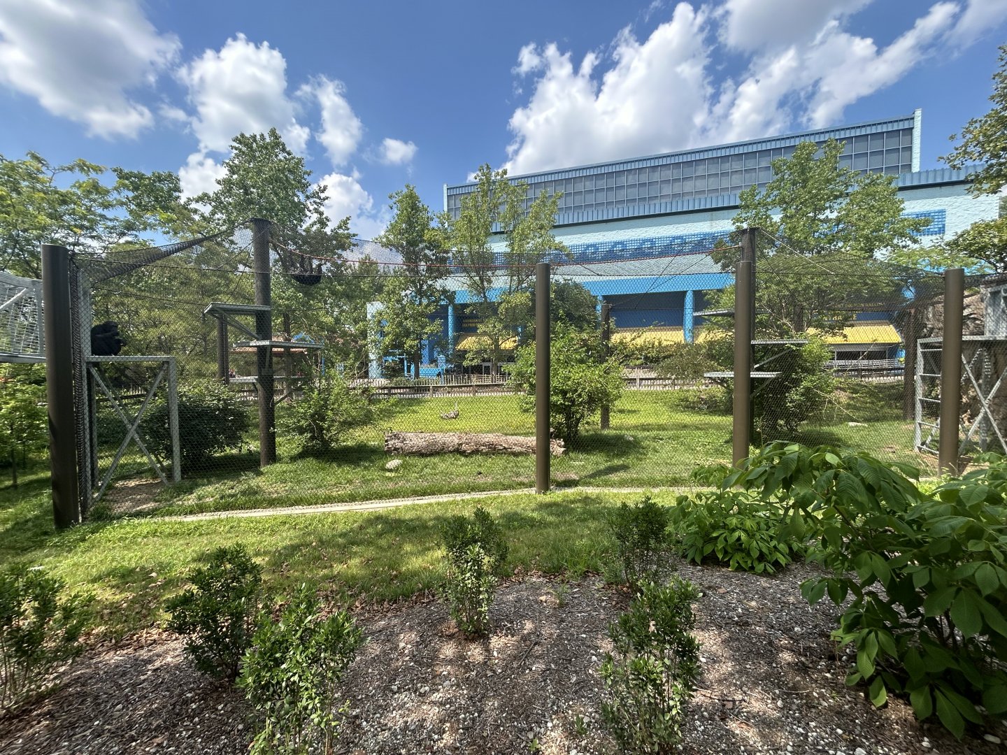 Chimpanzee Cognition Center - International Chimpanzee Complex