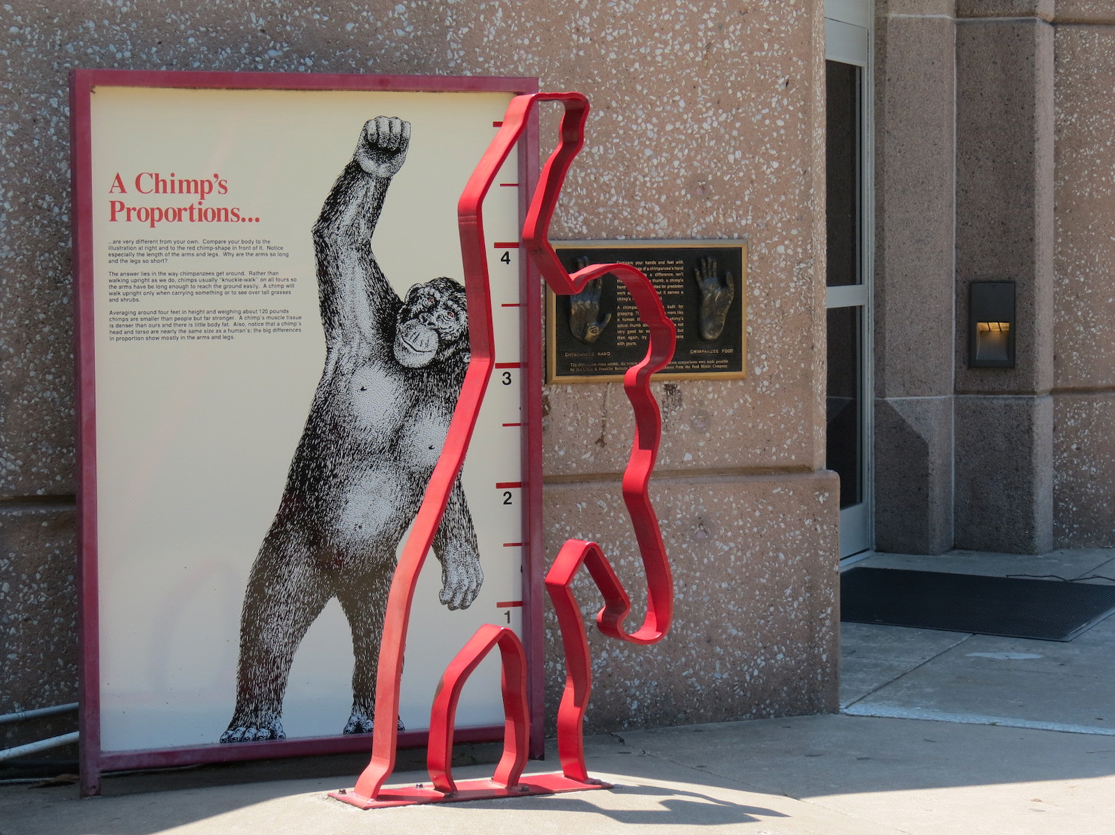 Chimpanzee Connection - Building Exterior