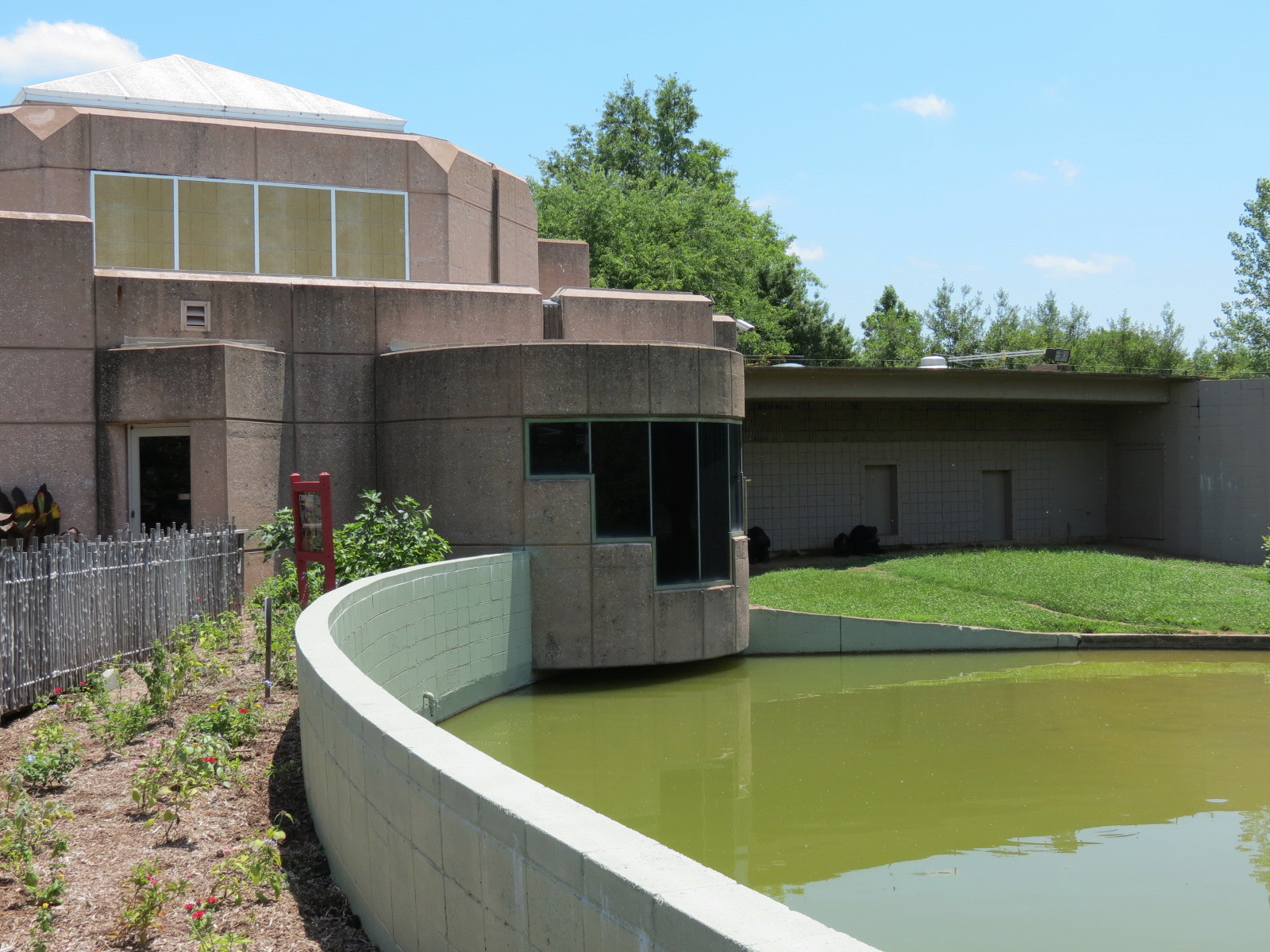 Chimpanzee Connection - Outdoor Exhibit