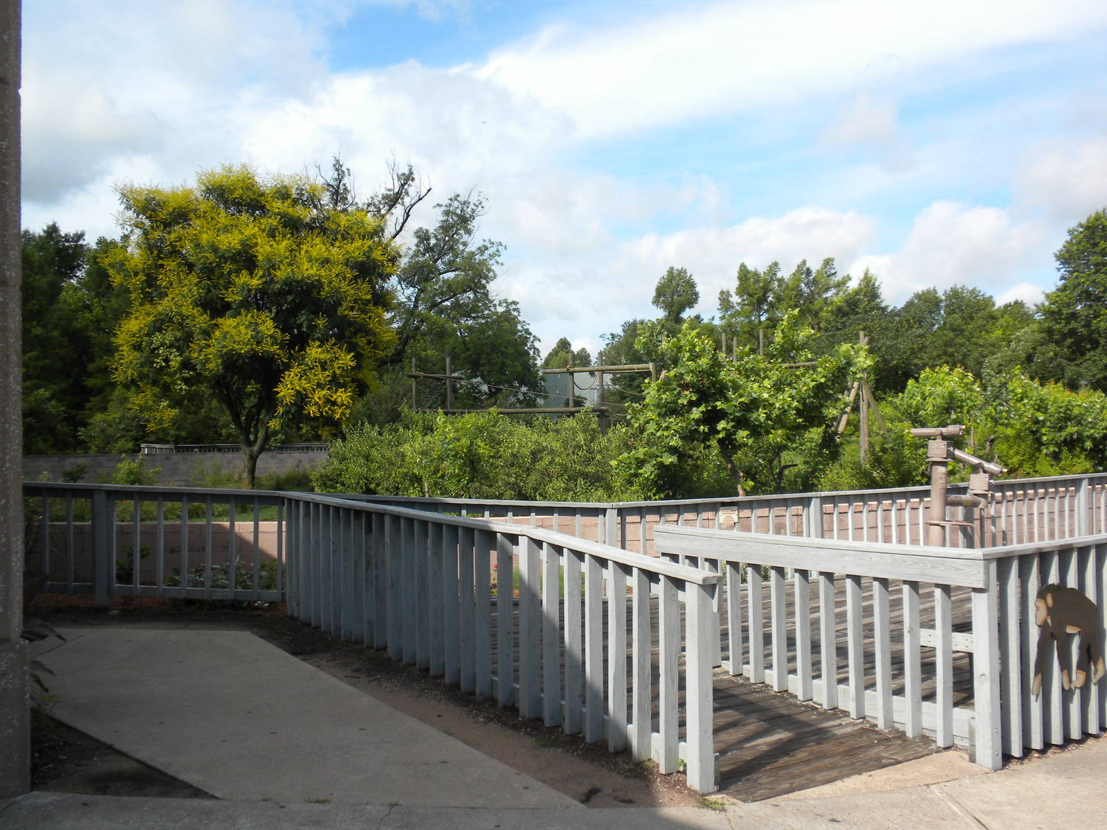 Chimpanzee Connection