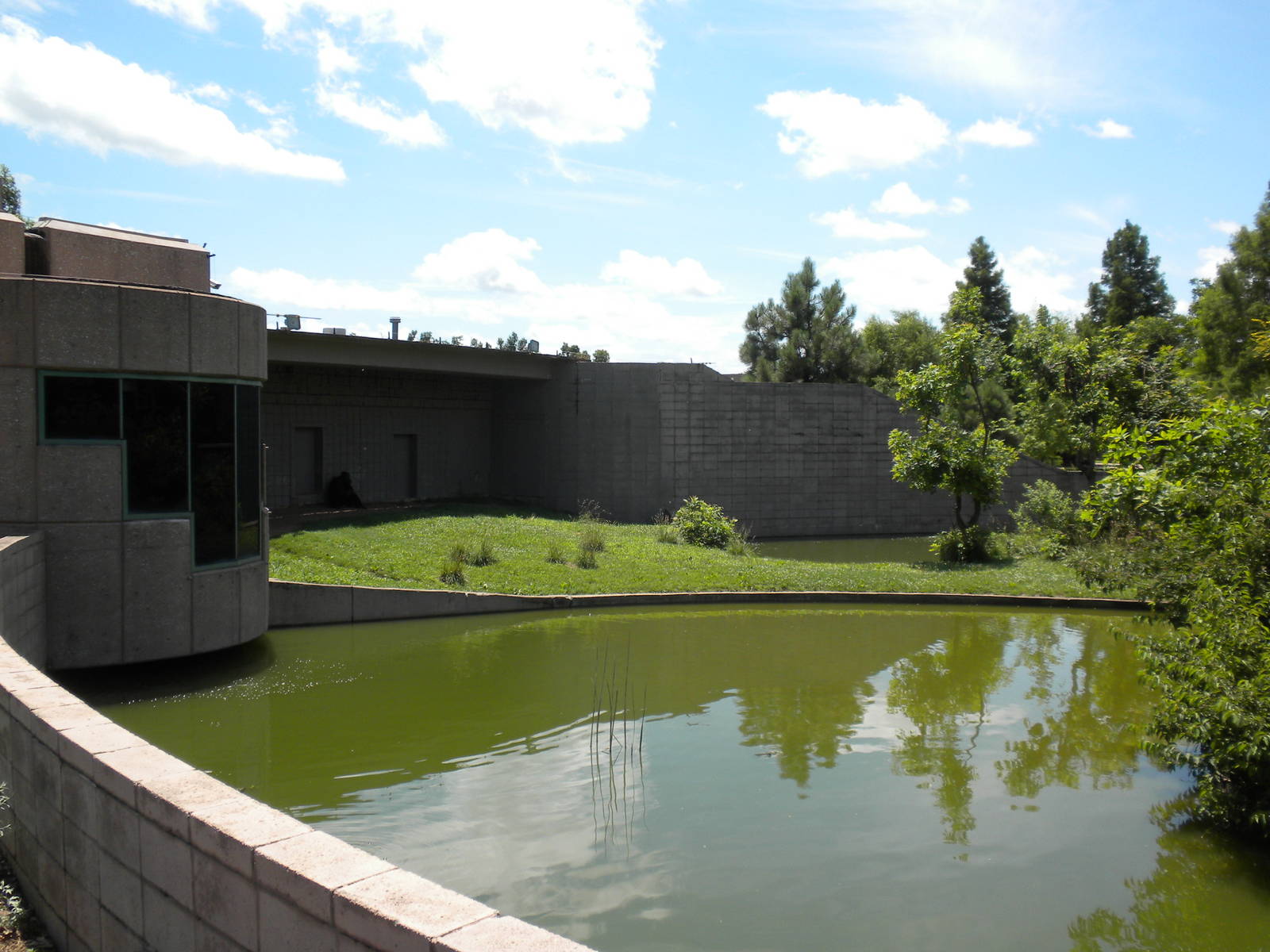 Chimpanzee Connection