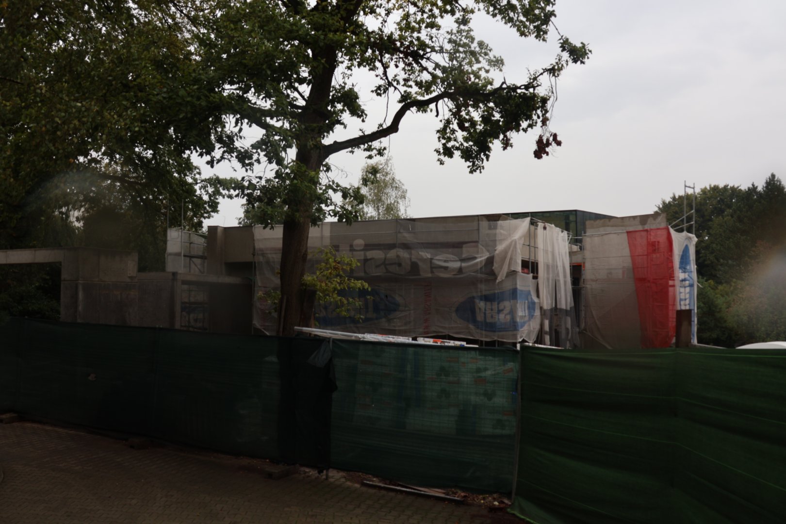 Chimpanzee construction site