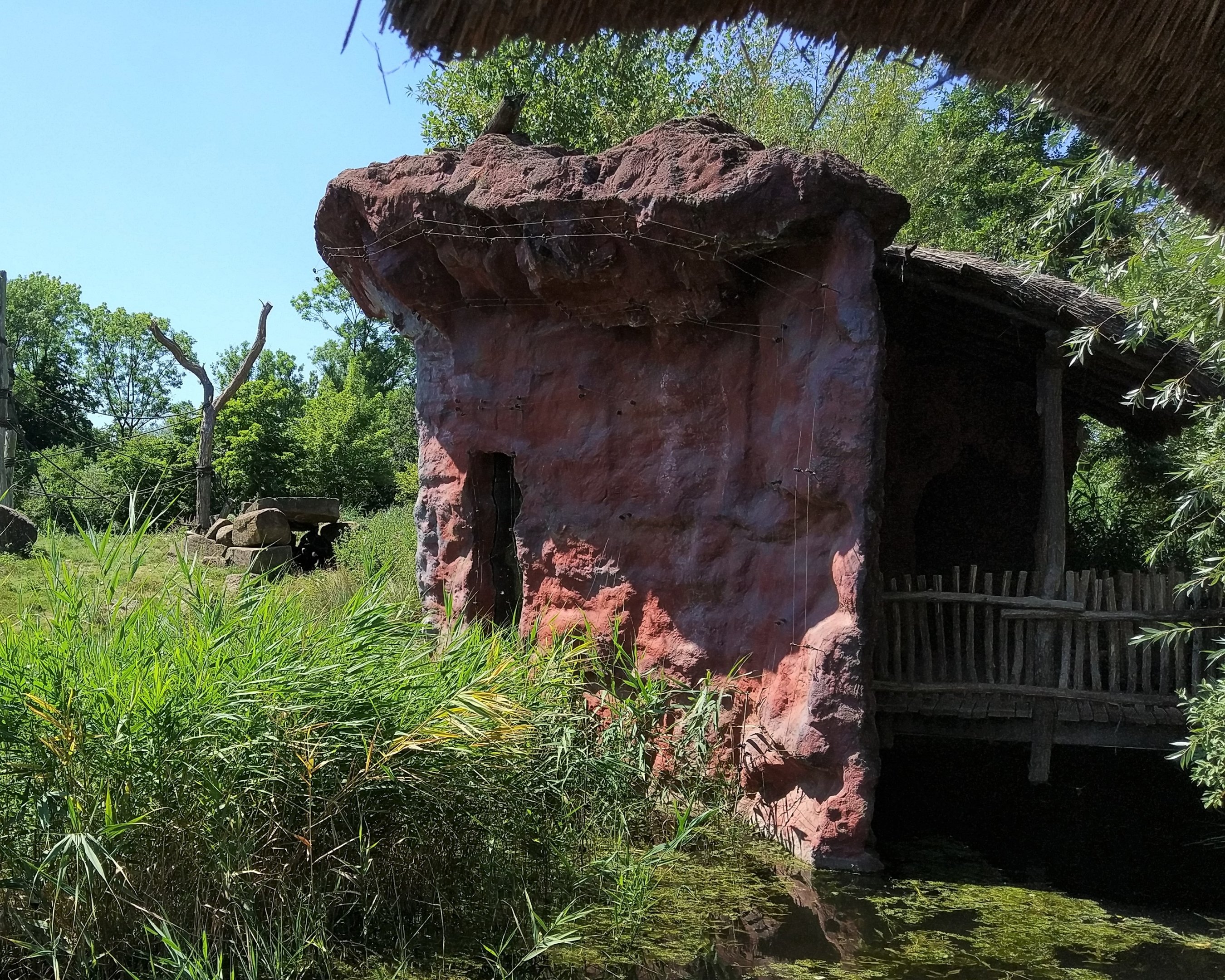 Chimpanzee Containment