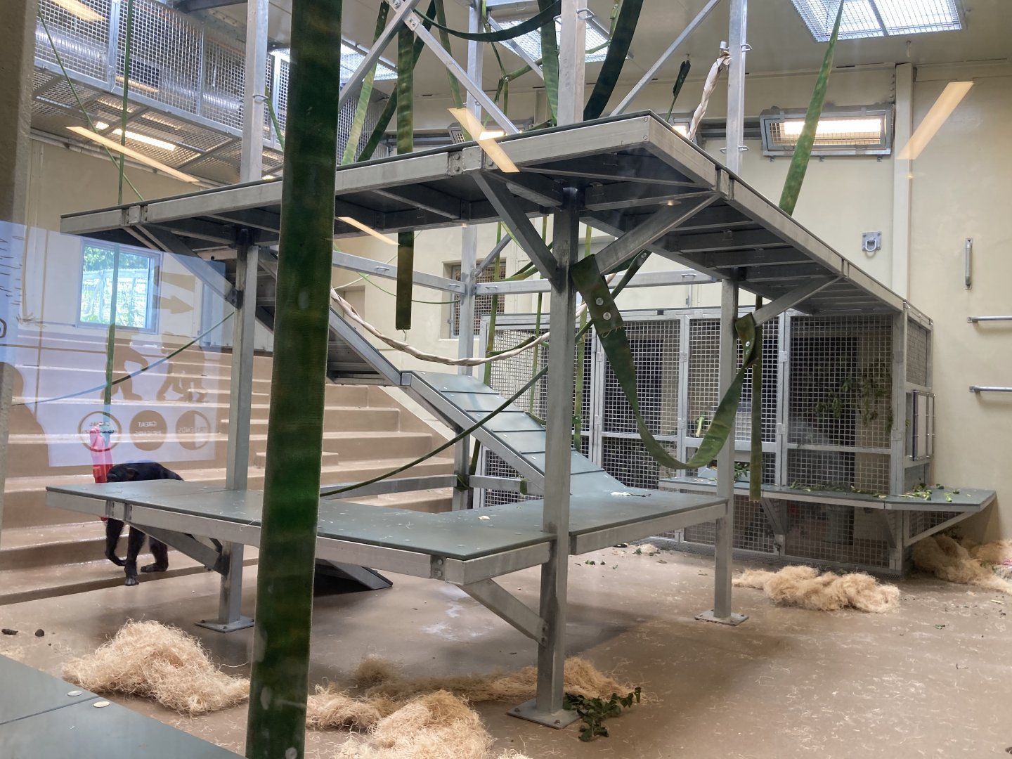 Chimpanzee Culture Center