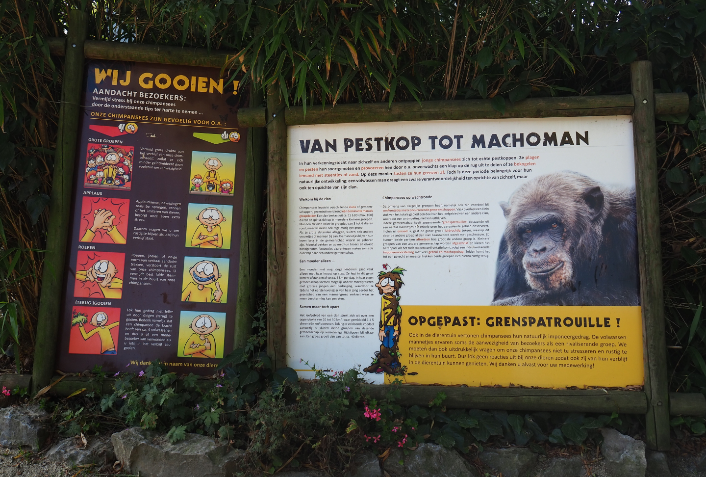 Chimpanzee education and warning signs, 2019-06-01