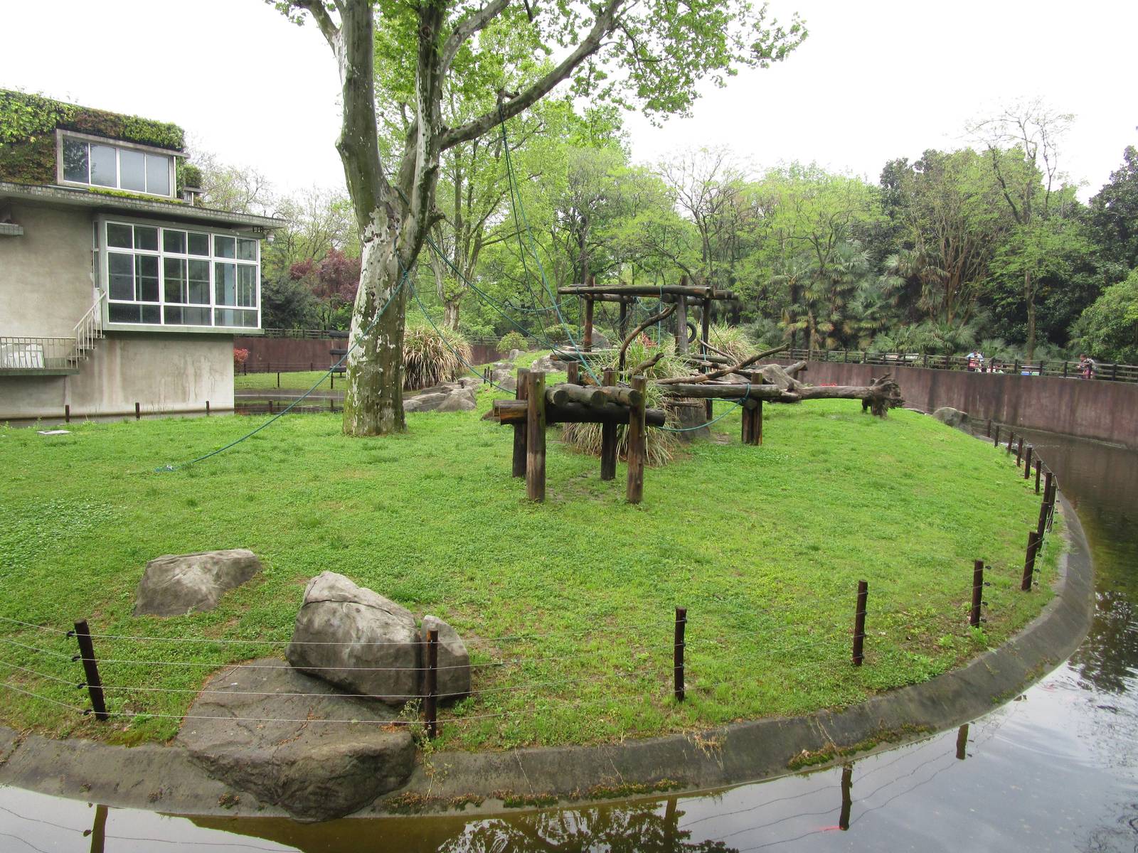 Chimpanzee Enclosure - 16/04/2016