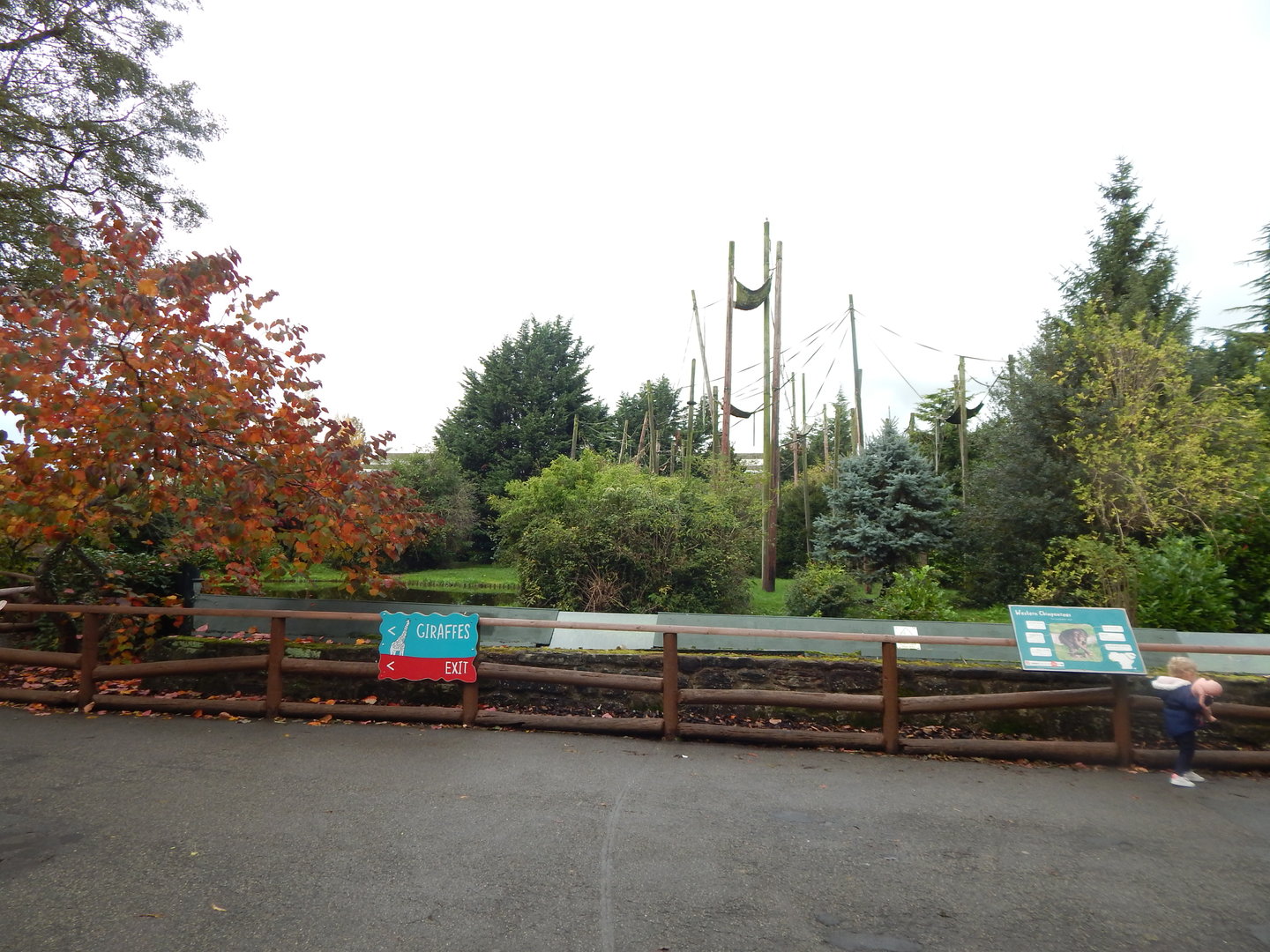 Chimpanzee enclosure 221022