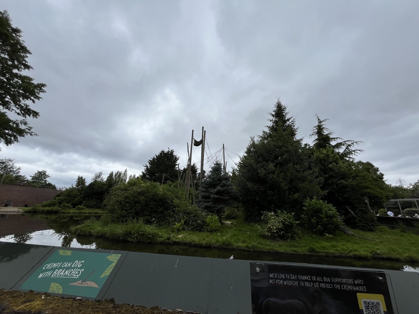 Chimpanzee enclosure 29.6.24