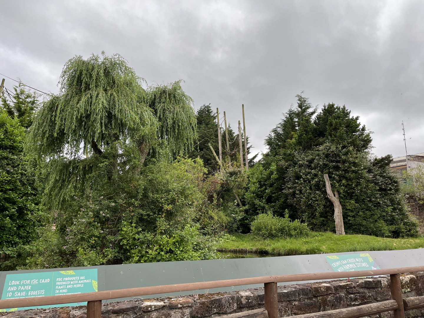 Chimpanzee enclosure 29.6.24