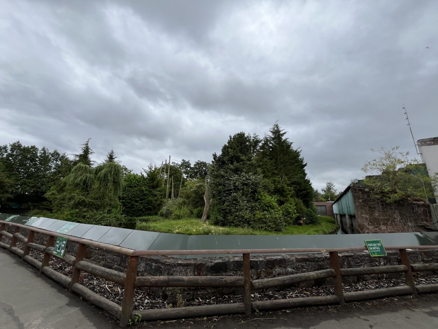 Chimpanzee enclosure 29.6.24