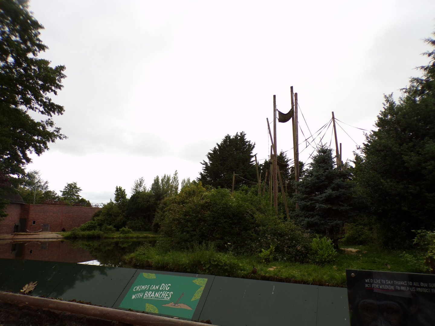 Chimpanzee enclosure 29.6.24