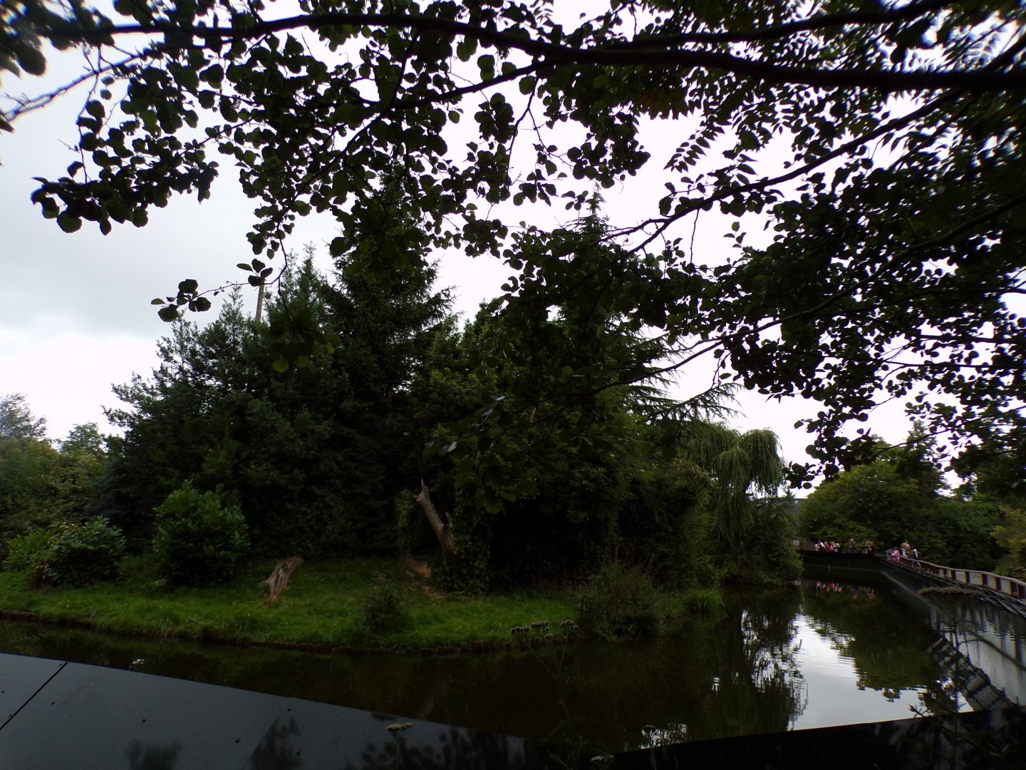 Chimpanzee enclosure 29.6.24