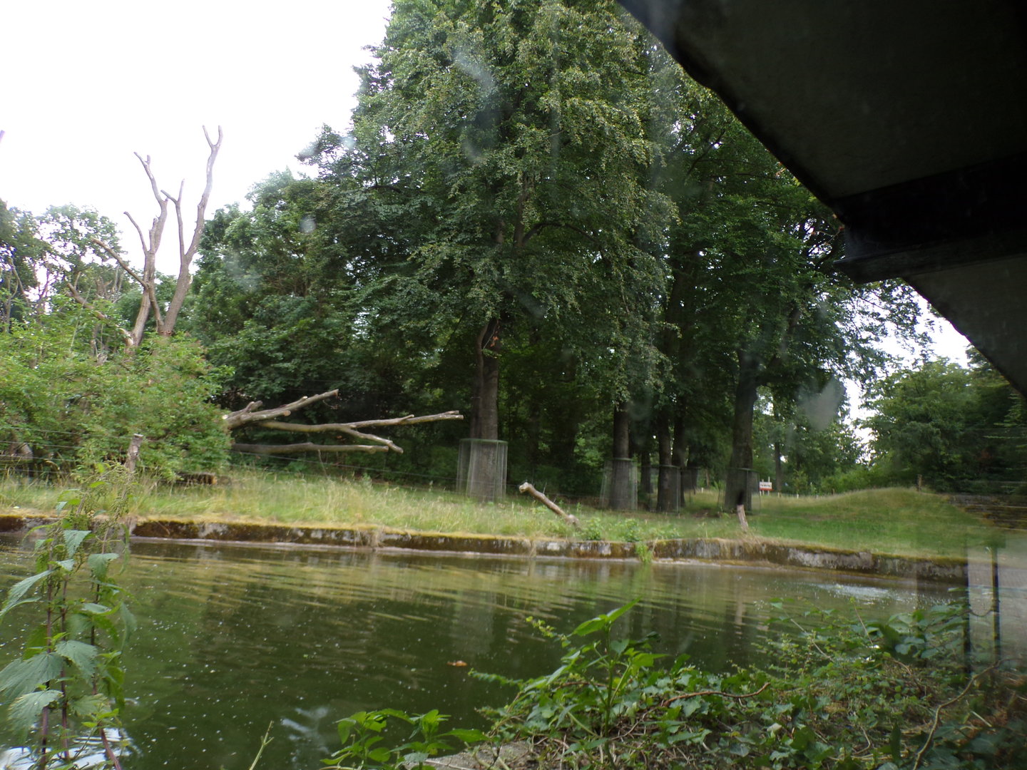 Chimpanzee enclosure 6.7.23