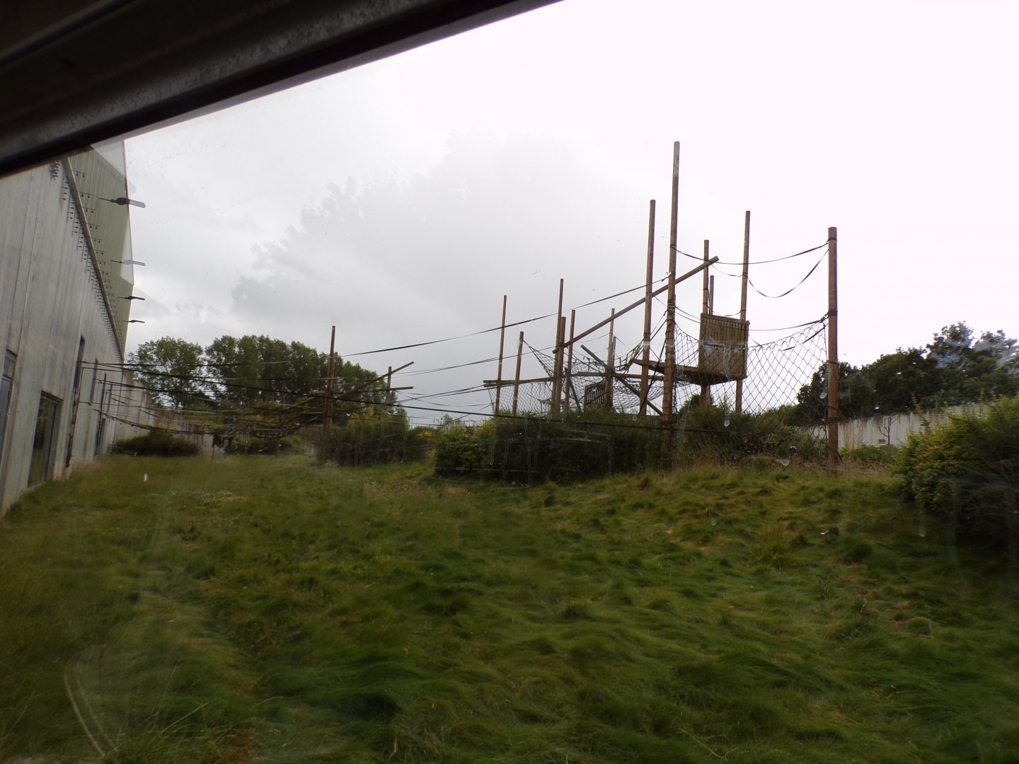 Chimpanzee enclosure 7.7.24