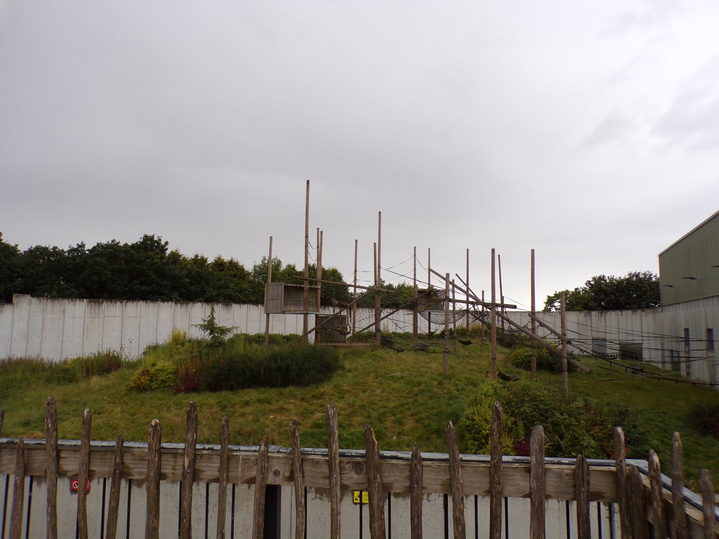 Chimpanzee enclosure 7.7.24