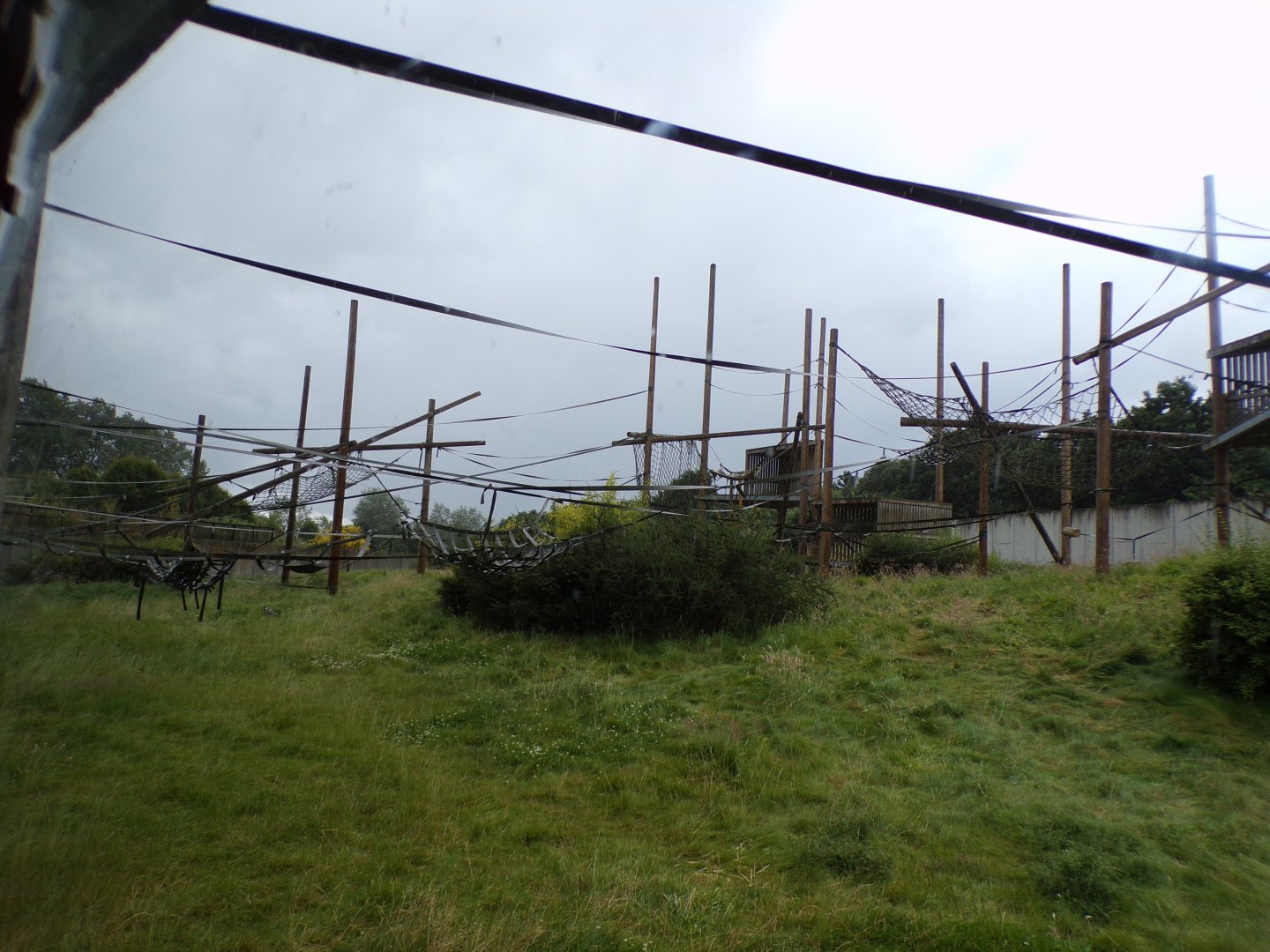 Chimpanzee enclosure 7.7.24