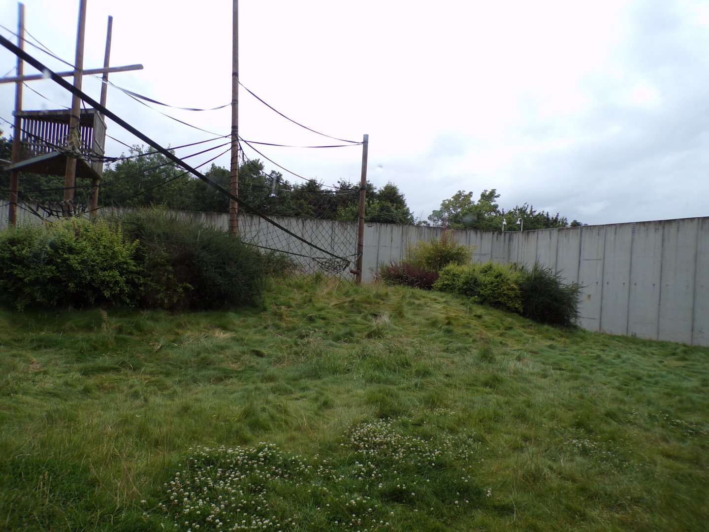 Chimpanzee enclosure 7.7.24