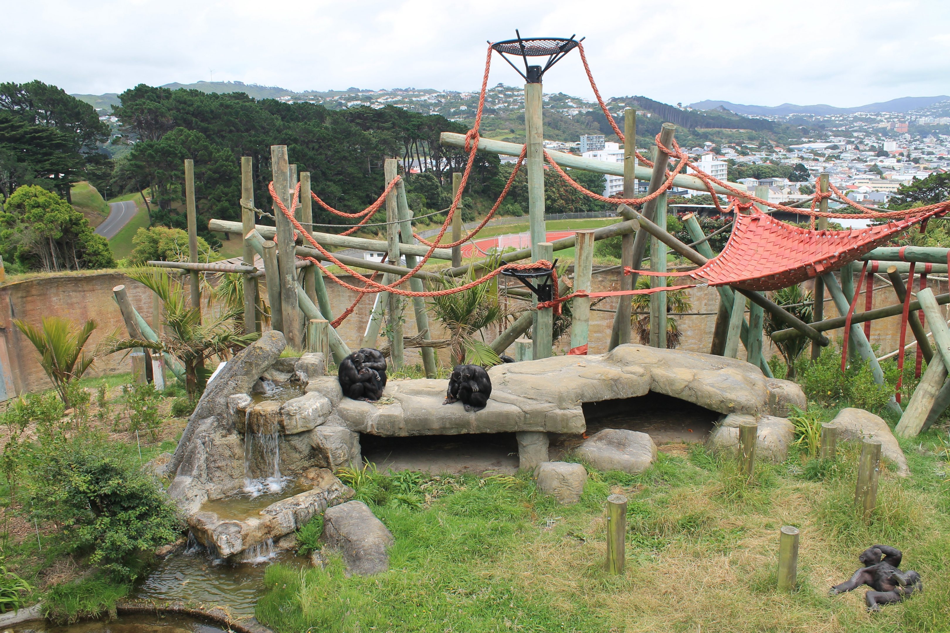 Chimpanzee enclosure after redevelopment