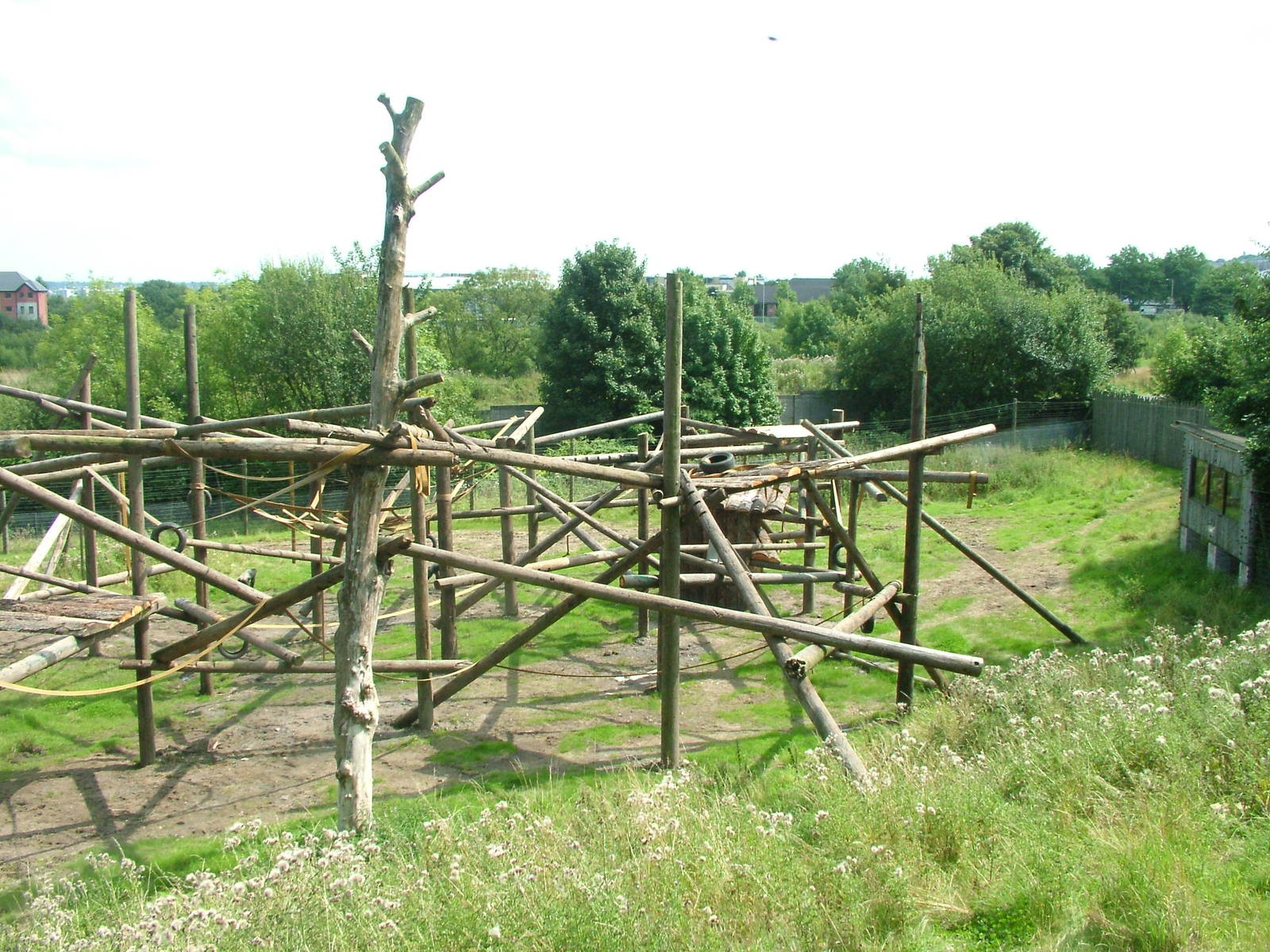 Chimpanzee enclosure at Dudley 09/08/09
