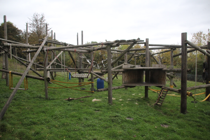 Chimpanzee Enclosure at Dudley Zoo & Castle