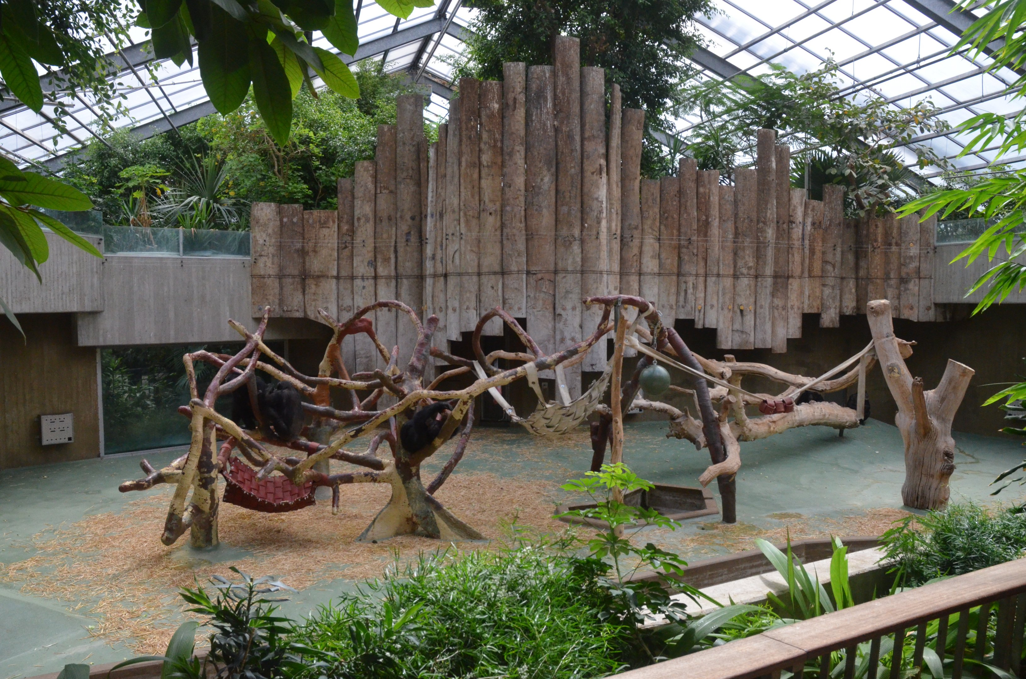 Chimpanzee Enclosure at Krefeld, 15/06/19