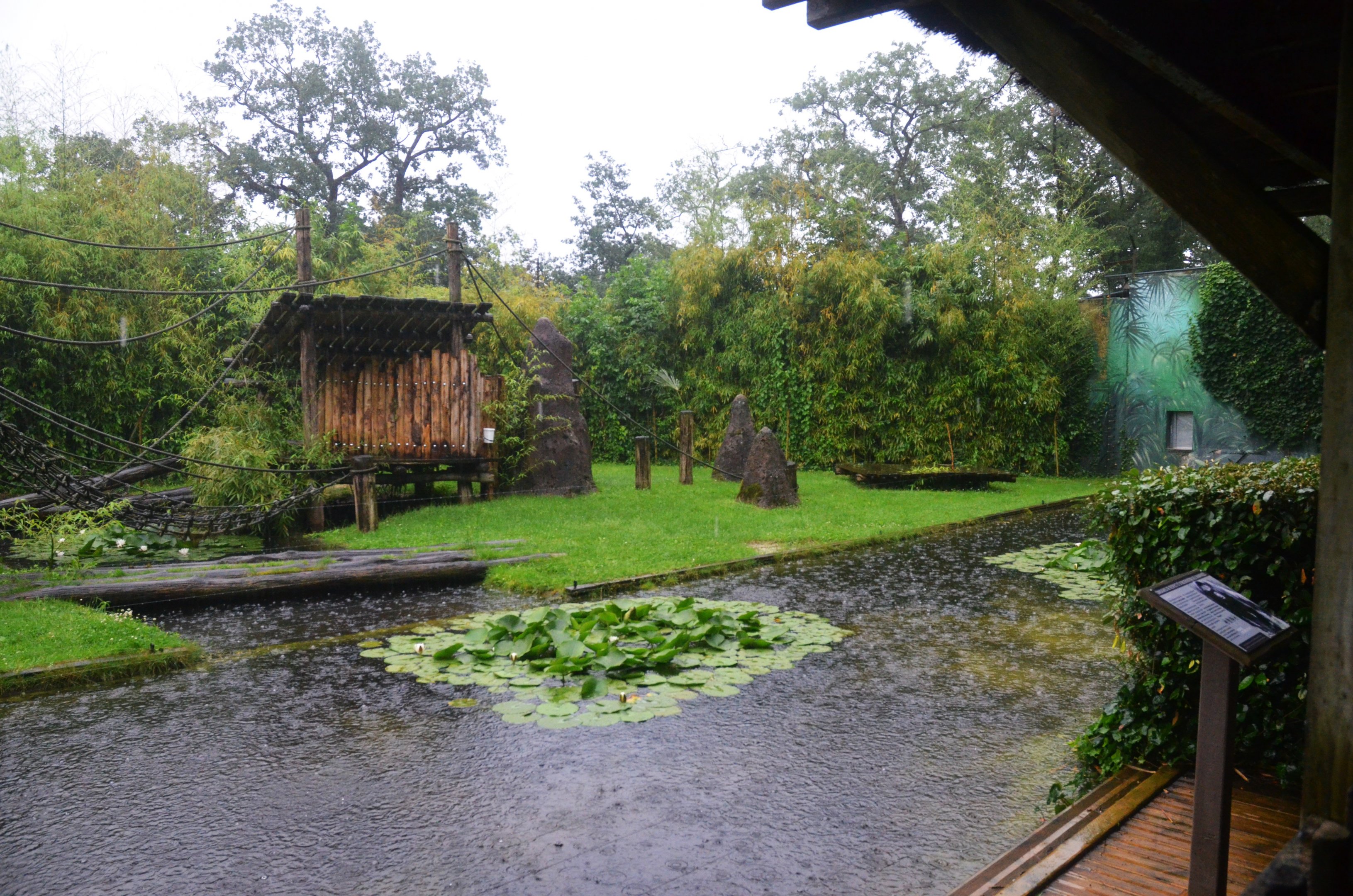Chimpanzee Enclosure at La Flèche, 11/06/18