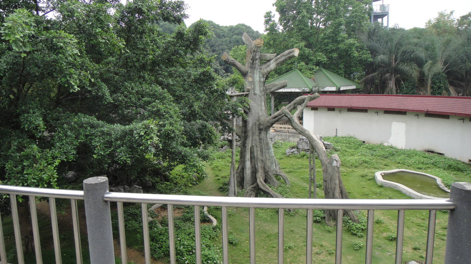Chimpanzee Enclosure at Nanning zoo 2013-4-27