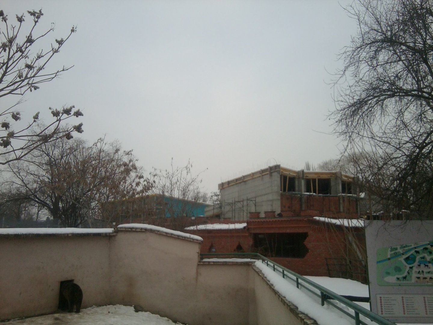 Chimpanzee Enclosure Building