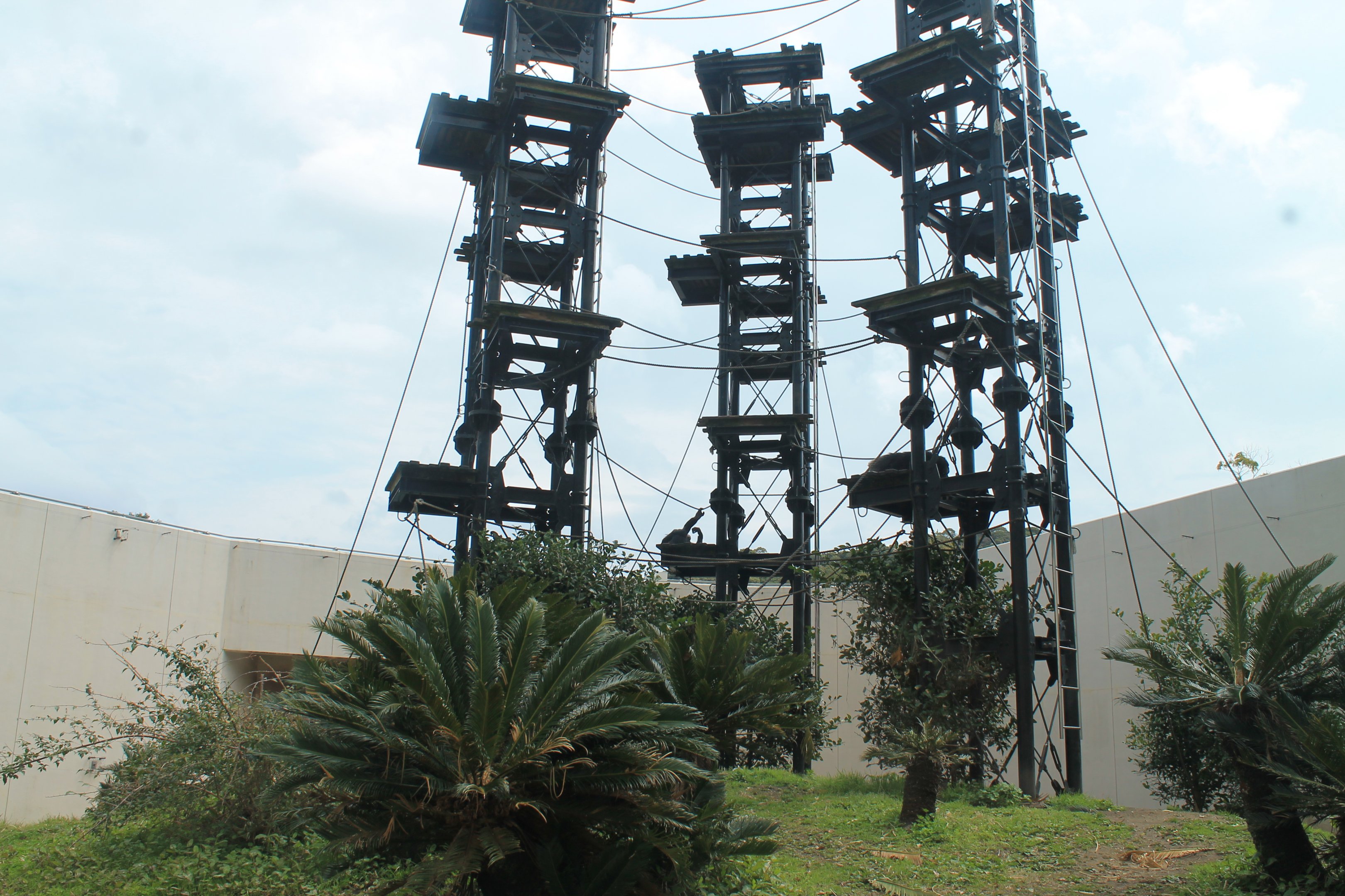 Chimpanzee enclosure - Hirakawa Zoo (Kagoshima)